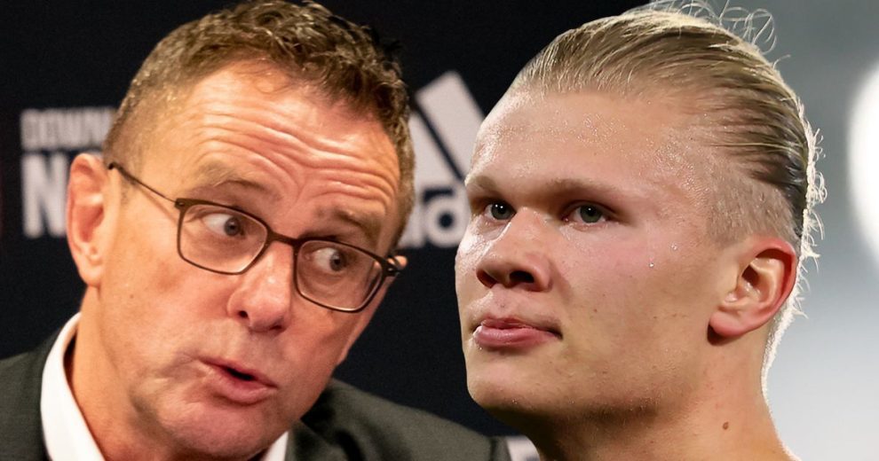 向与反击起 向与反击起