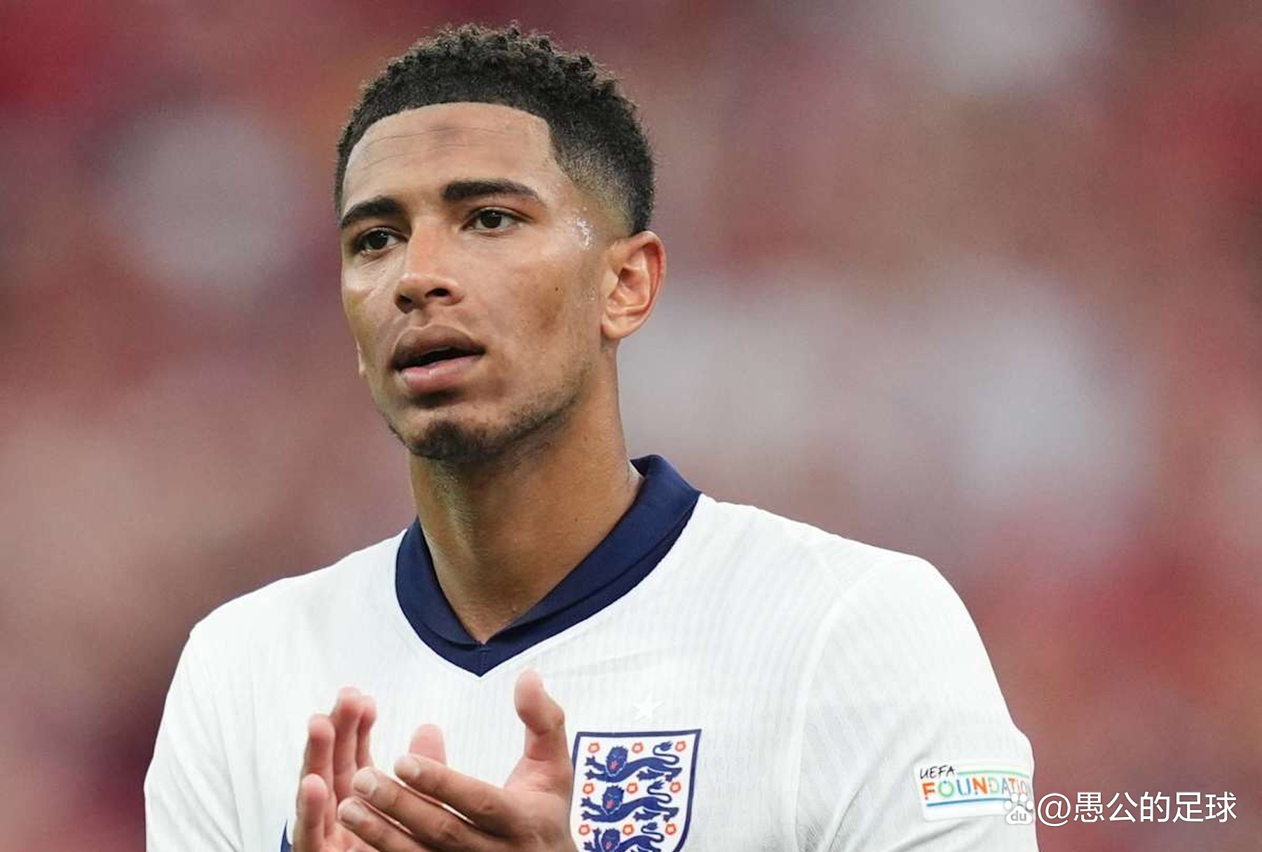 草皮反弹 草皮反弹